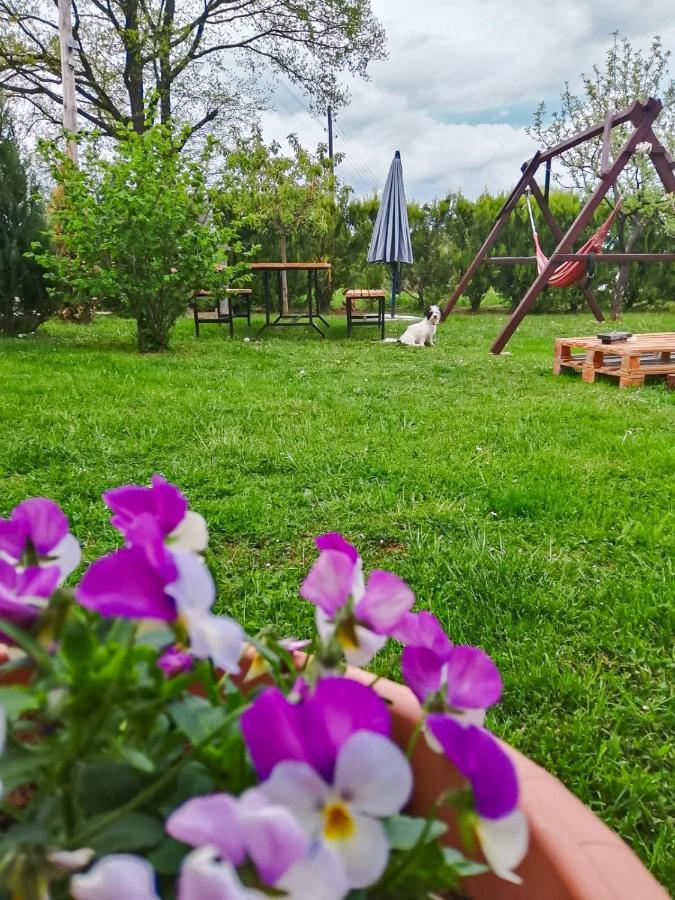 Gacka-Beautiful Place In Nature โอโทชาส ภายนอก รูปภาพ
