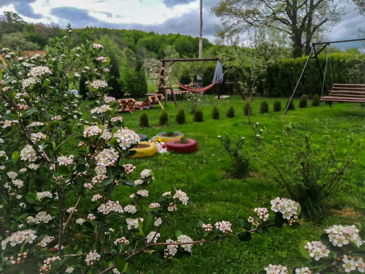 Gacka-Beautiful Place In Nature โอโทชาส ภายนอก รูปภาพ